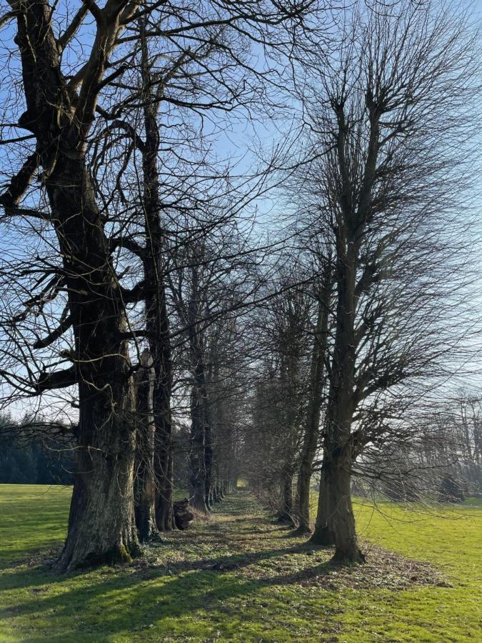 Chateau De Trebons Grainville-Ymauville Eksteriør bilde